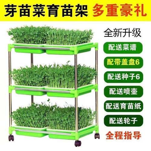芽苗菜育苗架子盘水培蔬菜加密盘生豆芽发芽盆带盖豌豆生芽盆