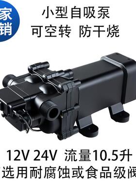 大流量花园水泵浇花泵浇地泵电动自吸隔膜泵