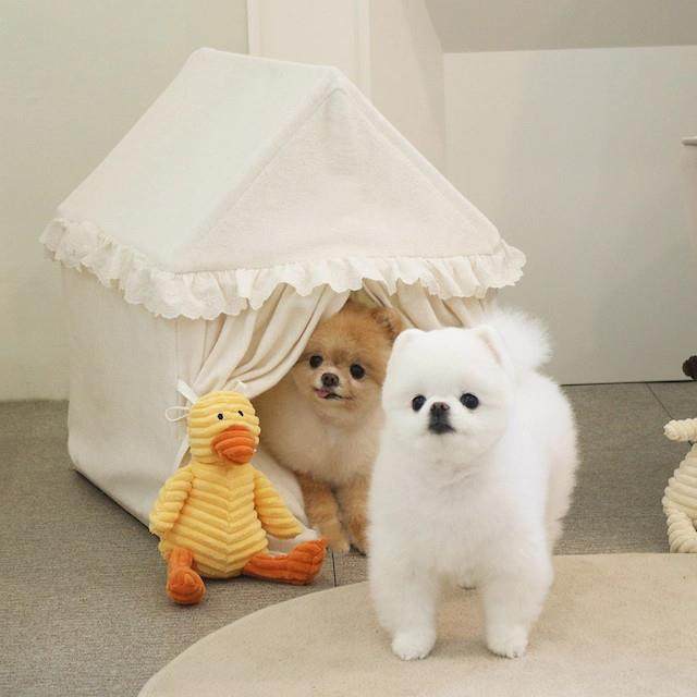 狗窝四季通用狗狗床可拆洗冬季保暖房子型狗屋小型犬泰迪冬天用品,纺织面料/辅料/配套,纺织机械配件,淘宝优惠券,粉丝福利购,淘宝优惠卷