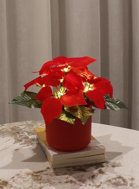 红色圣诞花盆装饰小夜灯led一品红仿真花节日氛围灯台灯摆件
