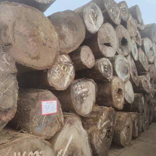 巴新柚木非洲柚木金丝柚木金丝胡桃木原木可加工一手