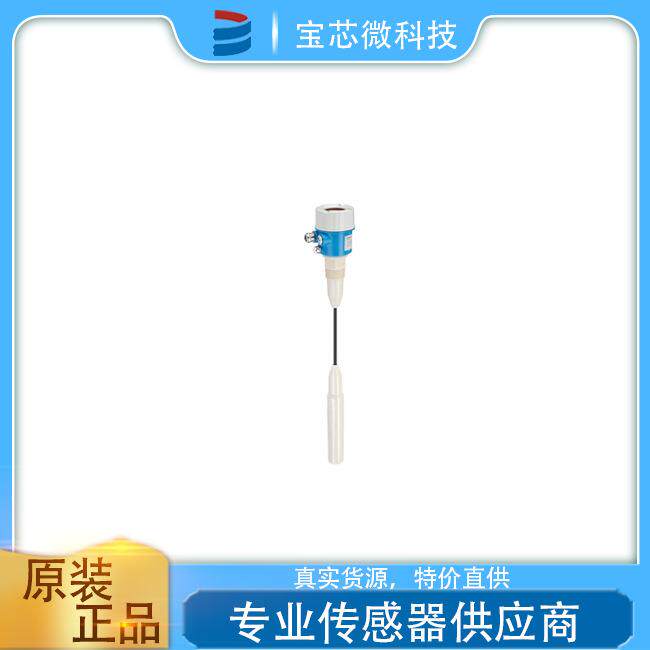 瑞士E+H恩德斯豪斯电容式限位开关型号FTC262-AA42D1
