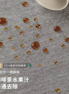 分销地毯客厅2024新款灰色免洗可擦轻奢高级感家用防水懒人沙发垫