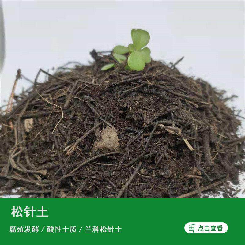 腐殖松针土疏松透气君子兰兰花腐叶土发酵家用种花有机营养土