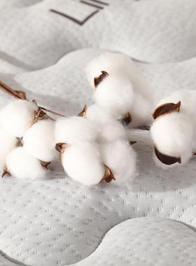 环保椰棕床垫1.8m双人15GPJ.偏硬护脊折叠垫经济型可m定作儿床童