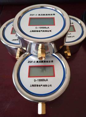 海直13741流苏微安表-GFZ数显微安表