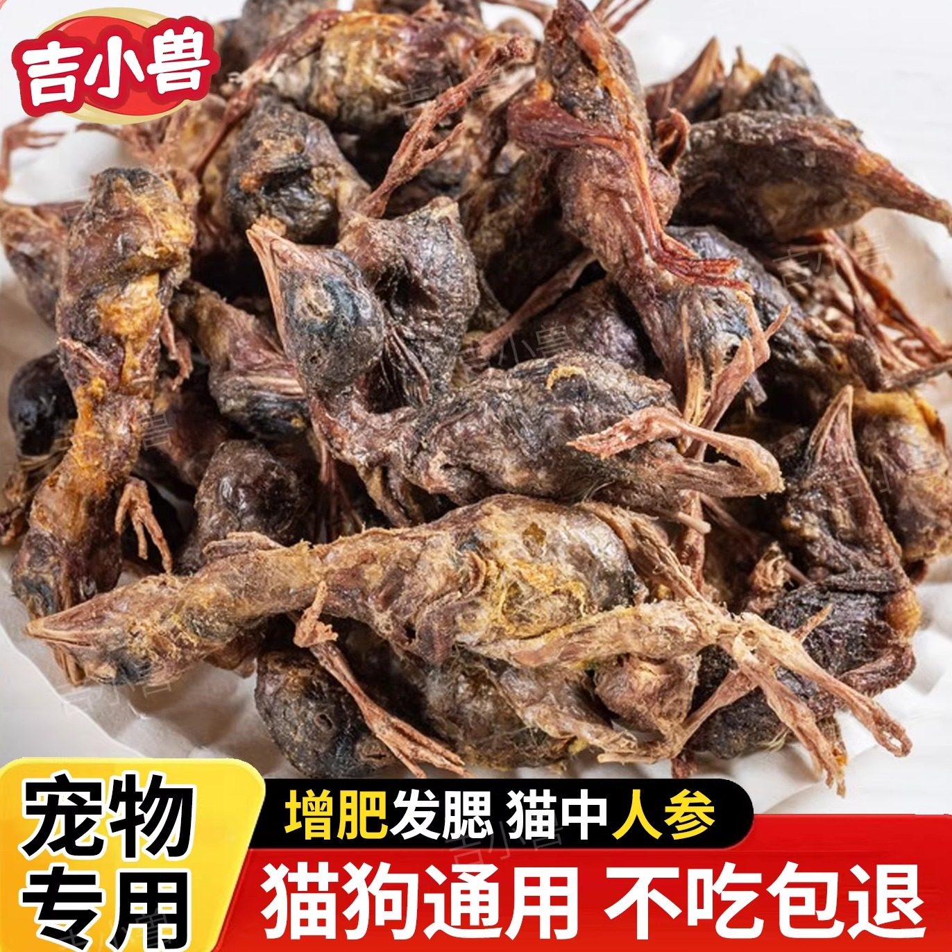 整只鹌鹑冻干猫咪零食训宠猫狗通用纯肉小鸡仔营养品宠物试吃装,宠物/宠物食品及用品,猫冻干零食,淘宝优惠券,粉丝福利购,淘宝优惠卷