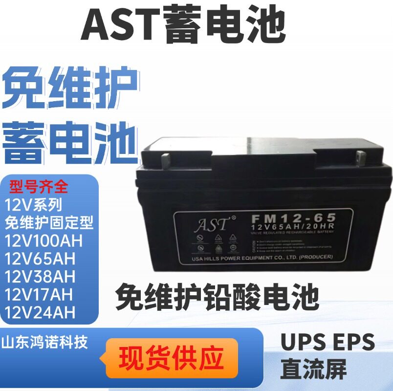 AST蓄电池FM12-65免维护12V65AH20HR直流屏UPSEPS电源应急电瓶