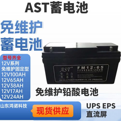 AST蓄电池FM12-65免维护12V65AH20HR直流屏UPSEPS电源应急电瓶