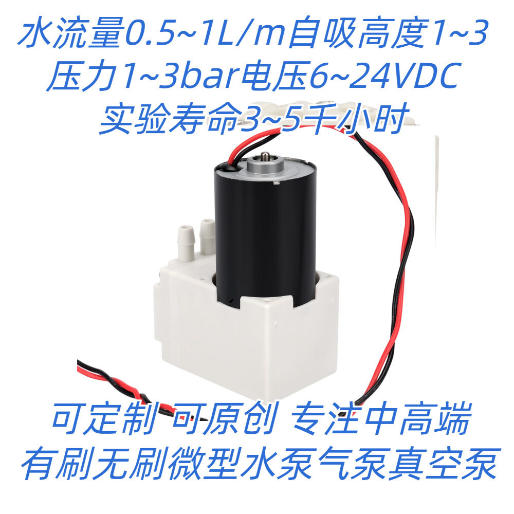 无刷自吸无刷微型水泵1升12v24v高自吸度耐高温热水泵长寿命