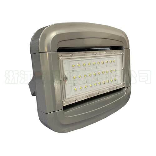 SZSW7250节能LED泛光灯SW725060W80W小功率LED投光灯SZSW7251