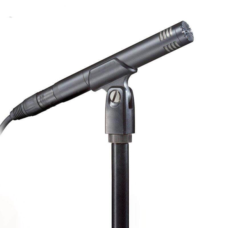 Audio-technica铁三角AT2031电容麦钢琴二胡古筝吉他人声乐直播