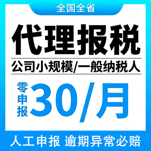全国代理记账报税会计服务