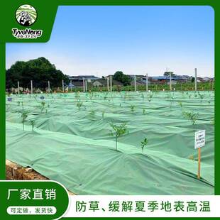 特卫农生态防草布果树除草火龙果透气保湿地布可降解农用种植地膜