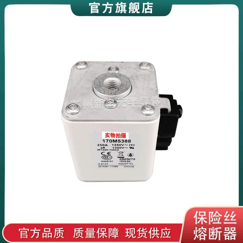 170M53125313531453155316巴斯曼bussmann快速熔断器保险丝