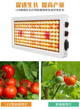 谦润照明le灯d植物生长全RIW植光谱白色种灯室内育水草蔬菜补苗光