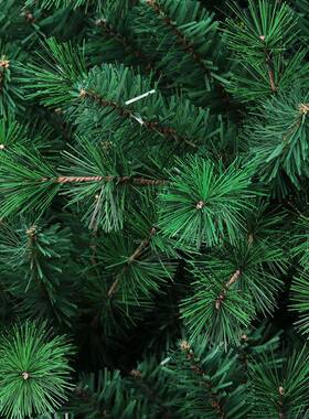 家C直销混合加密厂分节松装针+PV自SYCT57动圣诞树圣诞节饰品