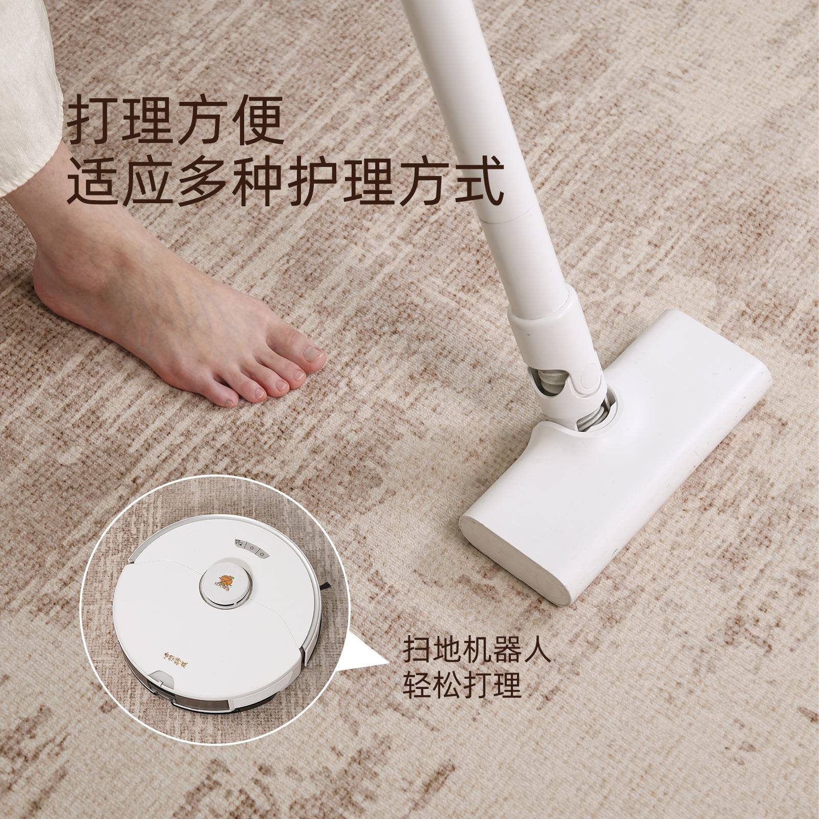 毯地客厅2025新款复LMA古中古地风室可擦免洗新中式卧垫大面积全