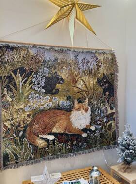 плед欧美订单毛毯挂毯床毯,1302X60cm.1313X8X5cm,SJSkg