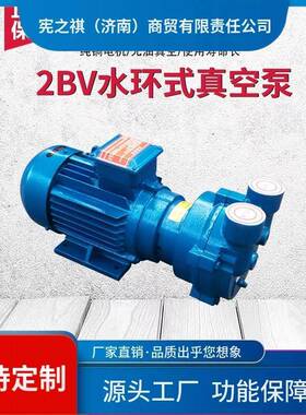 询~2BV列水环式真空泵工业系空抽气泵真不锈钢水环压缩循机2BDPTV