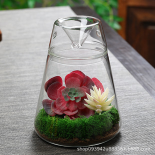 玻璃火山瓶苔藓瓶植物景观瓶三角瓶带出气孔桌面摆件创意手工盆景