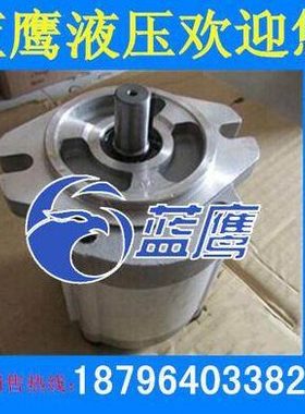 RGP-F306R/F308R/F310R/R312R/314R/F316R/F320R/F325R齿轮油泵RN