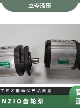 供应意大利罗茨RONZIO齿轮泵03ZAG50C064D工程钻机