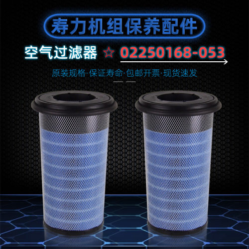 寿力螺杆空压机耗材WS45/55/7508/10空气过滤器02250168-053空气