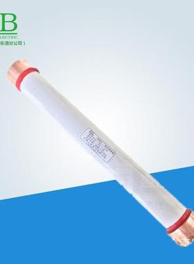 35KVRXW0-35/2A0.5A熔管熔断器RN2-35/0.5A3.5ARN3-35熔管