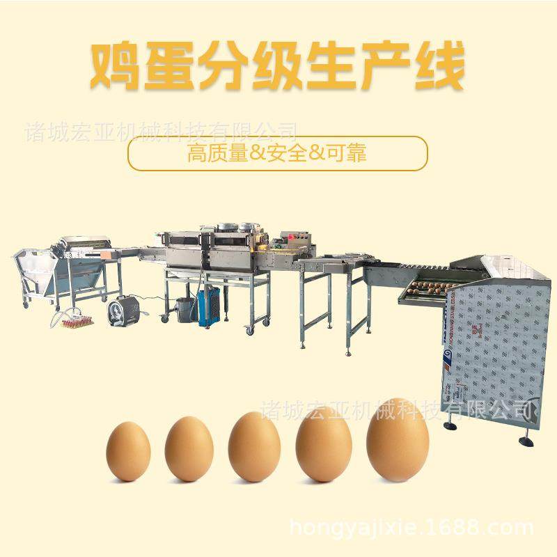 商用鸡蛋清洗分选生产线蛋品加工设备鸡蛋重量分级机,工业油品/胶粘/化学/实验室用品,其他实验室设备,淘宝优惠券,粉丝福利购,淘宝优惠卷
