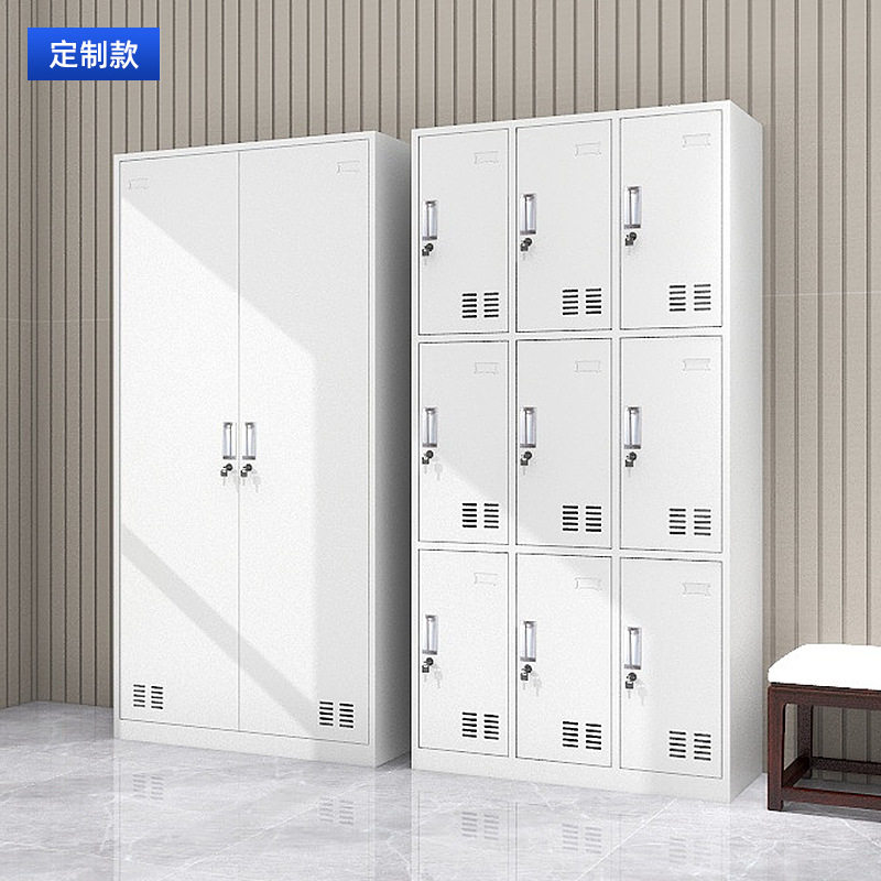 钢制员工储物柜家用二门更衣柜收纳柜健身房带锁换衣柜办公文件柜