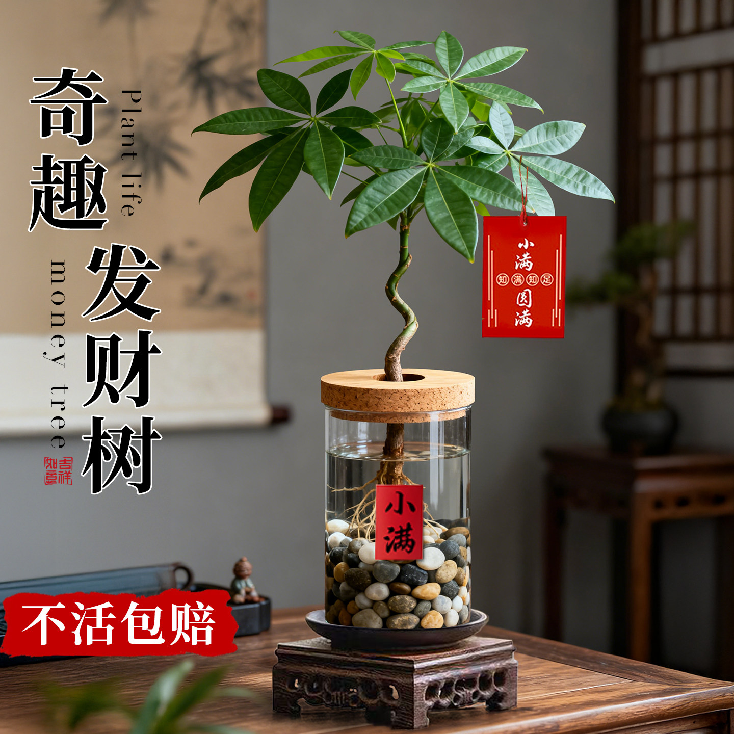 发财树水培桌面盆栽办公室内四季懒人绿植客厅书房招财旺宅小盆景,鲜花速递/花卉仿真/绿植园艺,绿植,淘宝优惠券,粉丝福利购,淘宝优惠卷