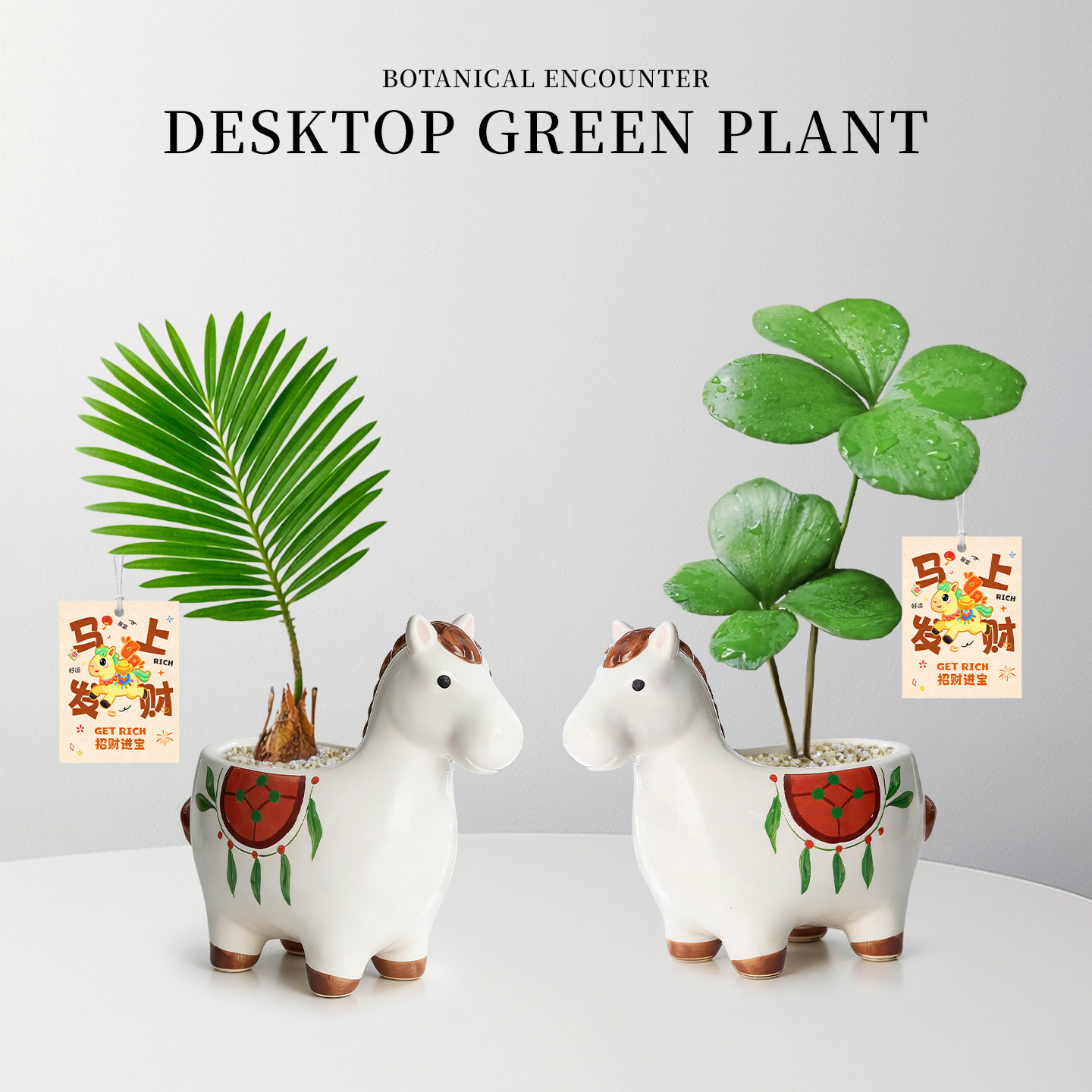 马上幸运四叶草小盆栽室内马年办公室桌面植物工位幼儿园萌宠绿植