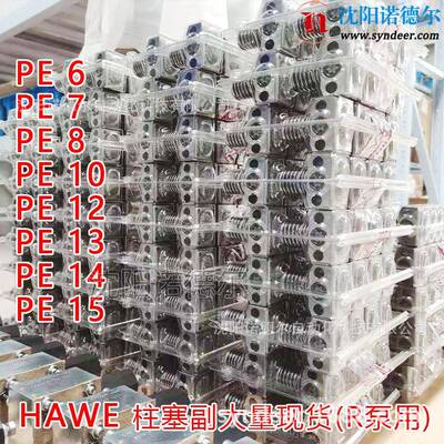 HAWE哈威泵配件R系列柱塞泵柱塞副PE6/7/8/10/12/13/14/15/16