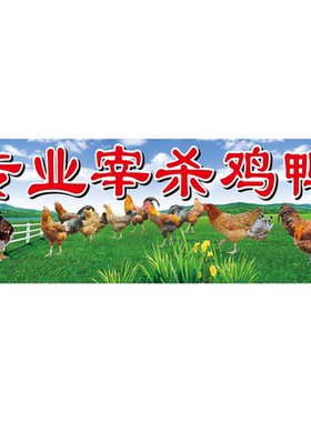 散养土鸡鸭鹅腾家禽出售批发定制海报贴纸背胶广告招牌防水喷绘