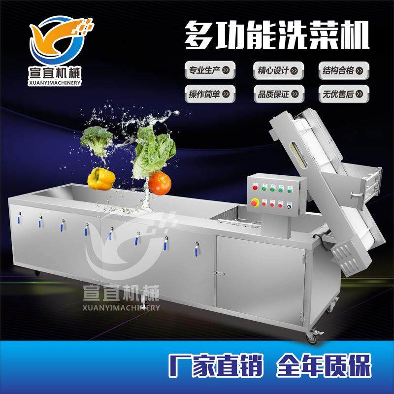 销售仙草蕨菜气泡清洗机猫爪草仙人草连续式去农残清洗设备