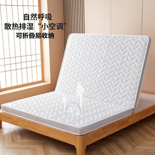 椰棕环保垫家用卧室乳胶立体加厚床垫可折叠学生宿舍单人榻榻米
