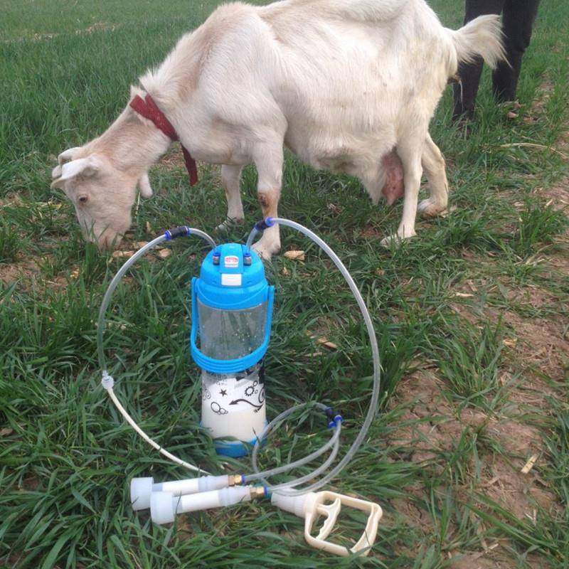 手动小型挤羊牛奶器吸羊奶机器家用羊牛用挤奶器6斤装