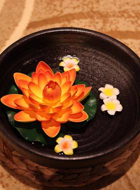 美容床观赏盆观赏盆水疗美容沙龙装饰装饰品黑色观赏盆陶瓷