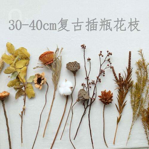 插瓶短枝复古干燥花30-40cm真花花材天然芦苇蒲扇麦子侘寂风干花