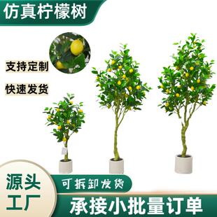 仿真植物柠檬树盆栽服装店室内落地桔子树摆件装饰假树绿植盆景