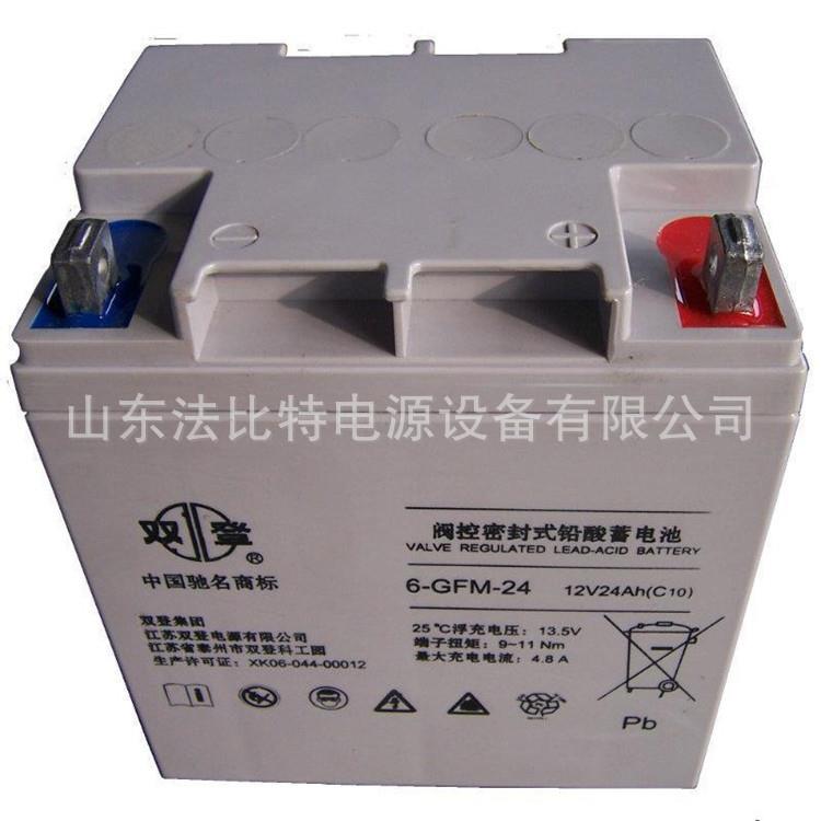 上海双登蓄电池6-GFM-24免维护12V24AH应急电源/双登电池6-GFM-24