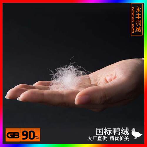 羽绒90白鸭绒水洗新国标羽绒大朵绒纯白高蓬松度原料羽毛
