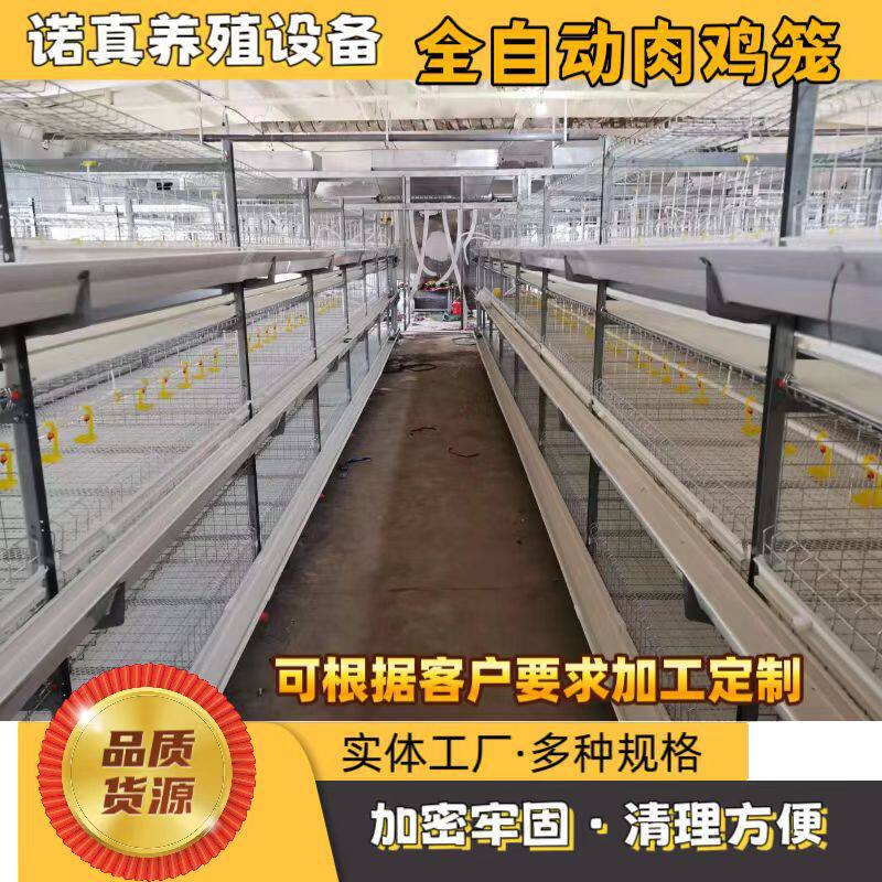 严选自动喂料肉鸡笼热镀锌鸡笼养鸡设备加密大型养殖鸡舍肉鸡笼子
