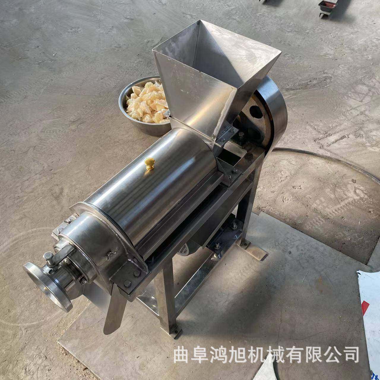 圣女果火龙果桑葚饮品类机械设备生姜家用低速蔬菜原汁机西芹榨汁