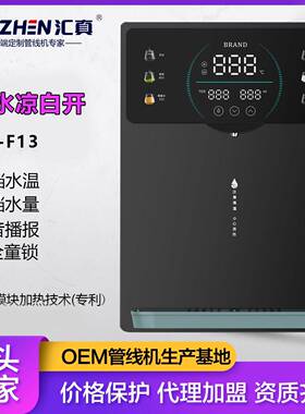 熟水温开水家用即热管线机加热DZ-F13