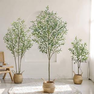 仿真橄榄树绿植假树造景家居客厅商场店铺橱窗酒店餐厅装饰摆件