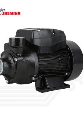 QB60直流漩泵12V24V高扬程大流量直流太阳能地面泵DCsolarpump