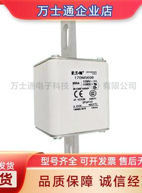 170M5558/5559/5560/5561/5562/5563/5564/5565/5566熔断器现货