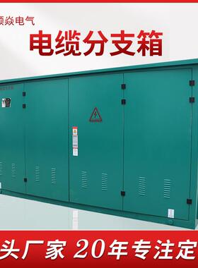 高压电缆分接箱高压开关柜DFW-12户外开闭所10K电缆户外分支箱